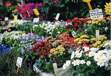 メジスリー河岸の花屋　2001年7月13日撮影