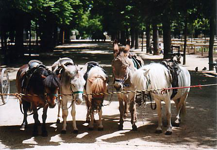 リュクサンブール公園　2002年5月29日撮影