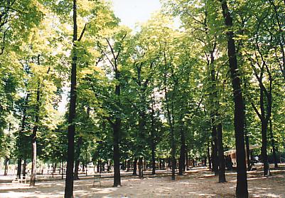 特集・リュクサンブール公園　2001年7月15日撮影